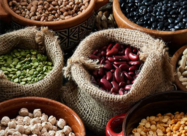 Food-Commodity-Trading